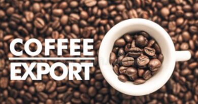The landscape of coffee exports Indian perspective